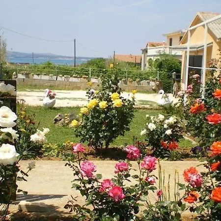 In Privlaka With Sea View, Balcony, Air Conditioning, W-lan 667-2